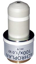 zeiss 100x water immersion objective
